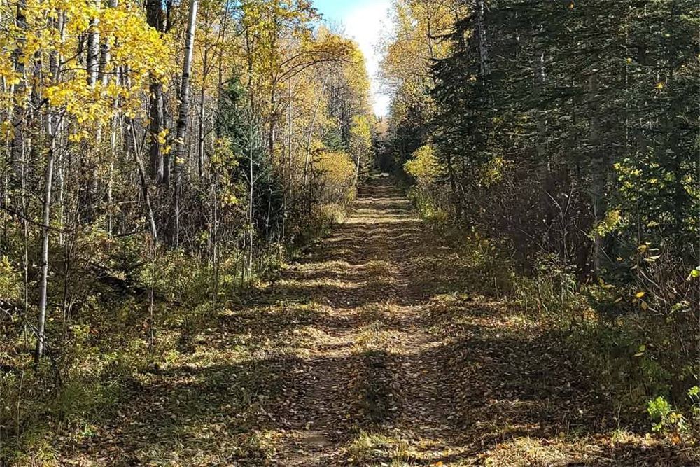 Mossberry Lake Trails